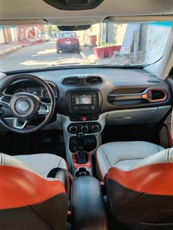 جيب رينيجيد